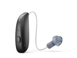 Echo pro akku